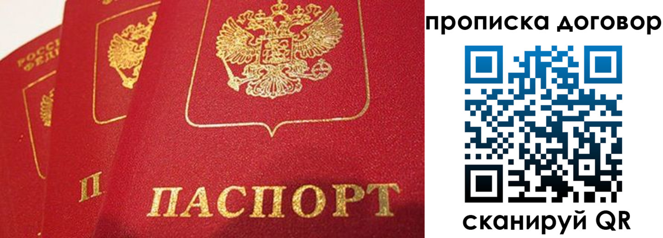 найти адрес прописки в Нововоронеже